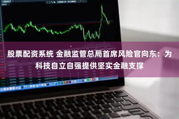 股票配资系统 金融监管总局首席风险官向东：为科技自立自强提供坚实金融支撑