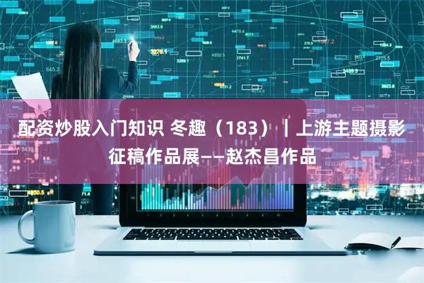 配资炒股入门知识 冬趣（183）｜上游主题摄影征稿作品展——赵杰昌作品